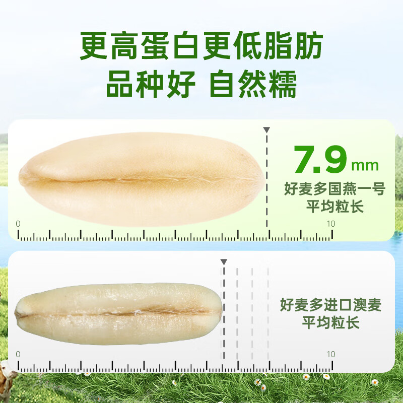 HONlife奇亚籽酸奶水果坚果麦片早餐即食干吃代餐饱腹冲饮谷物 【爆款】草莓105g+有机黑麦120g