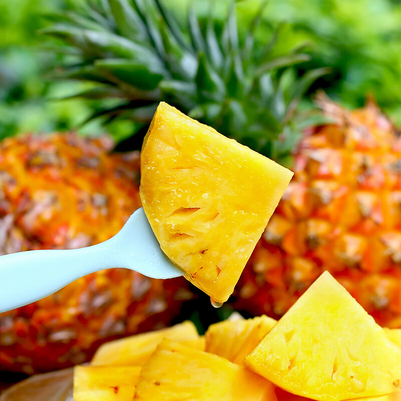 鲜友季海南金钻凤梨新鲜菠萝单果1.3-1.8斤现摘水果生鲜金菠萝 净重4.5-5斤(单果1.3斤起)