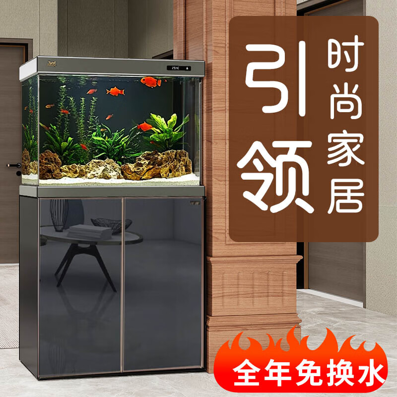 ɭɭSUNSUN״Ϳ̬ײ׹⻻ˮˮ 0.6׳Ӣ׻ҡ߶ϵ