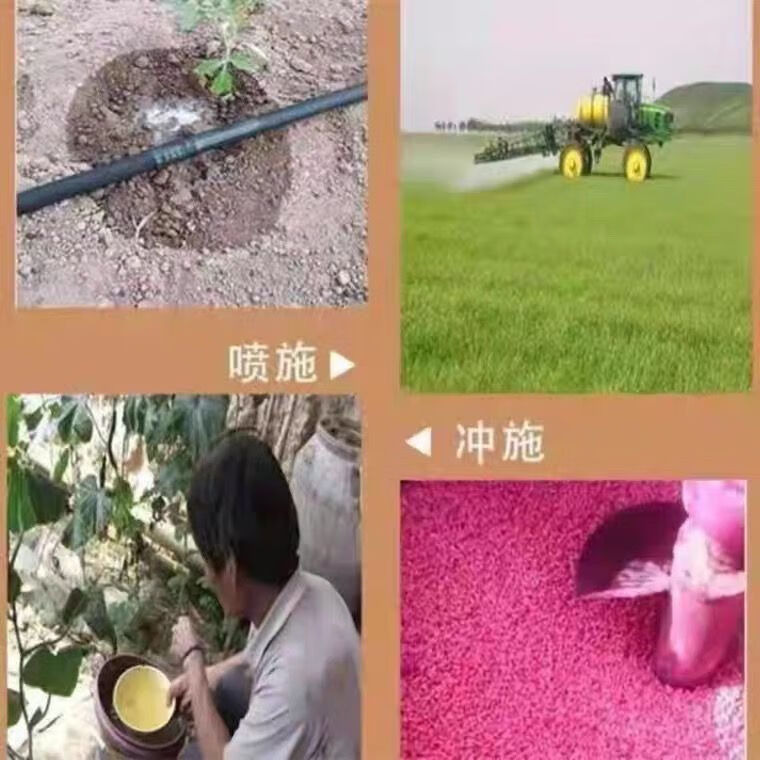 磷酸一铵高效水溶肥磷酸一铵农用叶面肥磷肥氮肥全水溶复合肥正品 50斤整袋