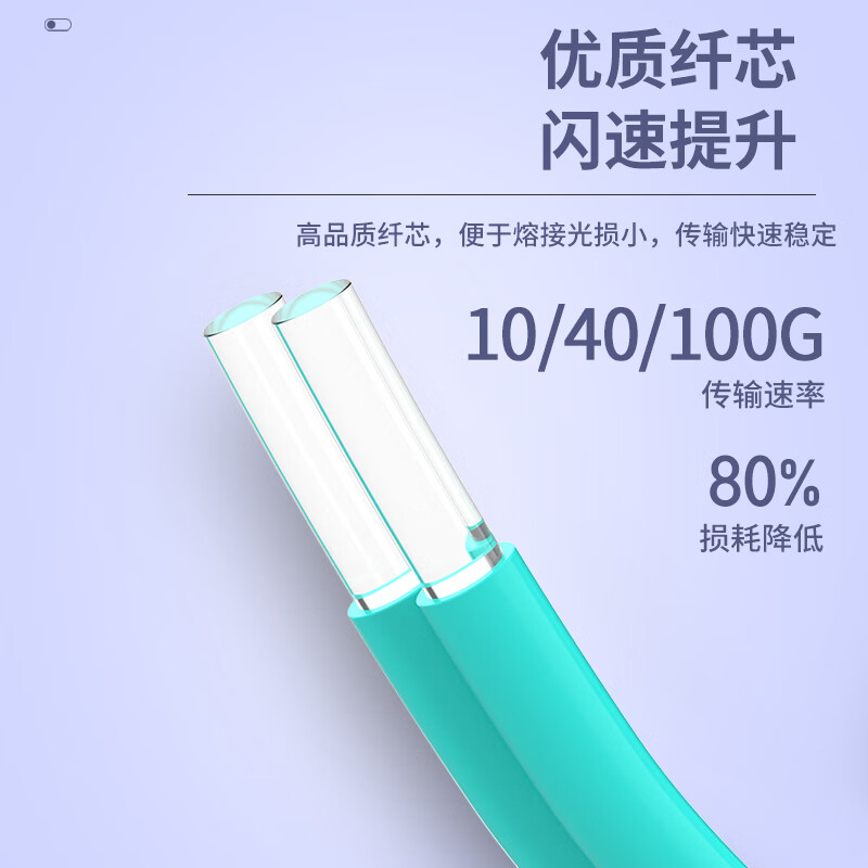 CFRHE 长烽联和电信级光纤跳线 OM3多模万兆双芯50/125 SC/FC/LC/ST光纤线机房收发器尾纤 低烟无卤抗弯曲可定制 OM3多模万兆双芯【LC-LC】 10米