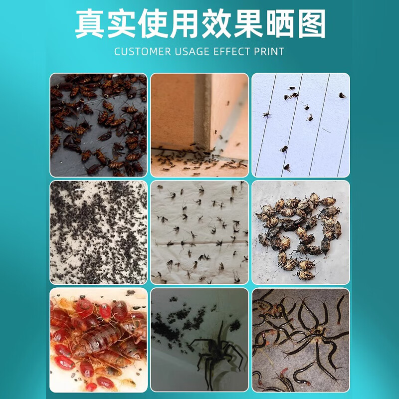 皎洁杀虫剂床上专用药氯氰菊酯喷雾胺菊酯喷剂驱虫神器家用室内非无毒 500mL 1瓶