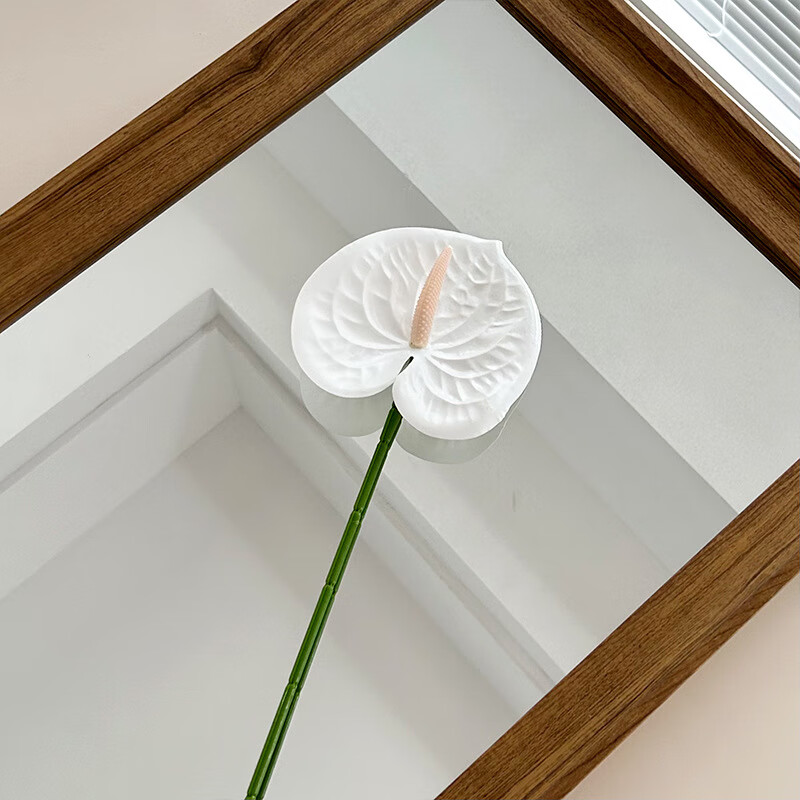 ����3D��ӡ���滨����ƻ����ò��üҾ�װ�η�����ֲ�ٻ� ��ɫ