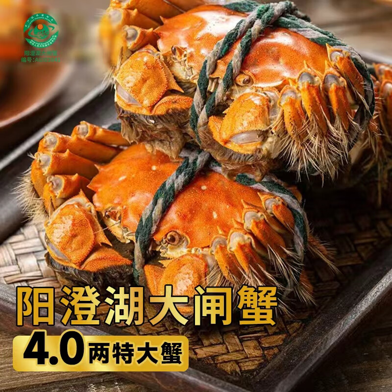 【活蟹】湖塘煙雨阳澄湖大闸蟹鲜活螃蟹礼盒公4.0两母3.0两4对8只河蟹生鲜水产源头直发