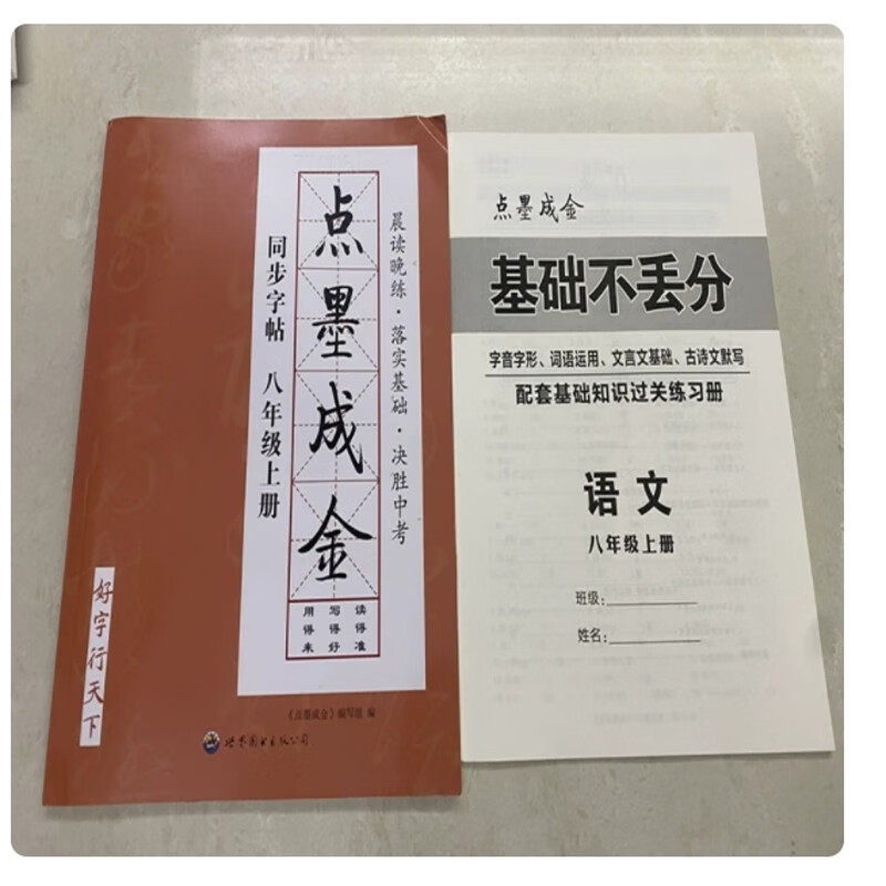 2025秋新版点墨成金初中语文同步字帖八年级上册同步字帖语文千字帖