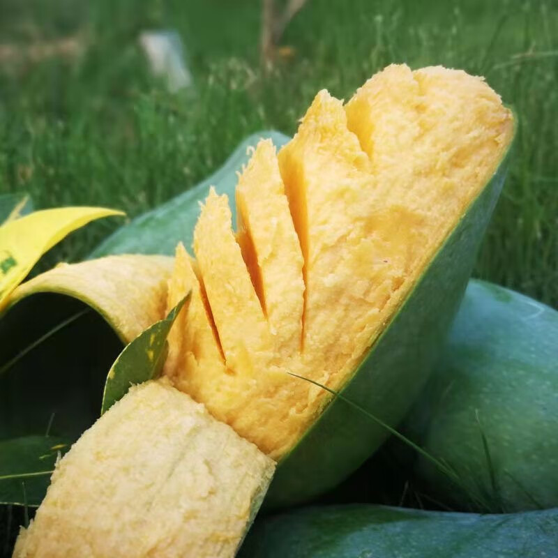 金煌芒果与其他水果对比
