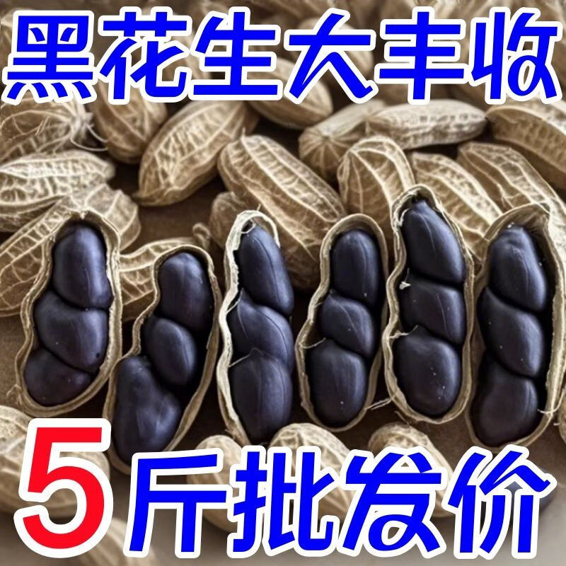 高品质云南富硒黑花生带壳老品质小颗粒生黑衣花生养胃黑生花生 精选农家自种带壳黑花生 4斤 正宗云南沙地种植