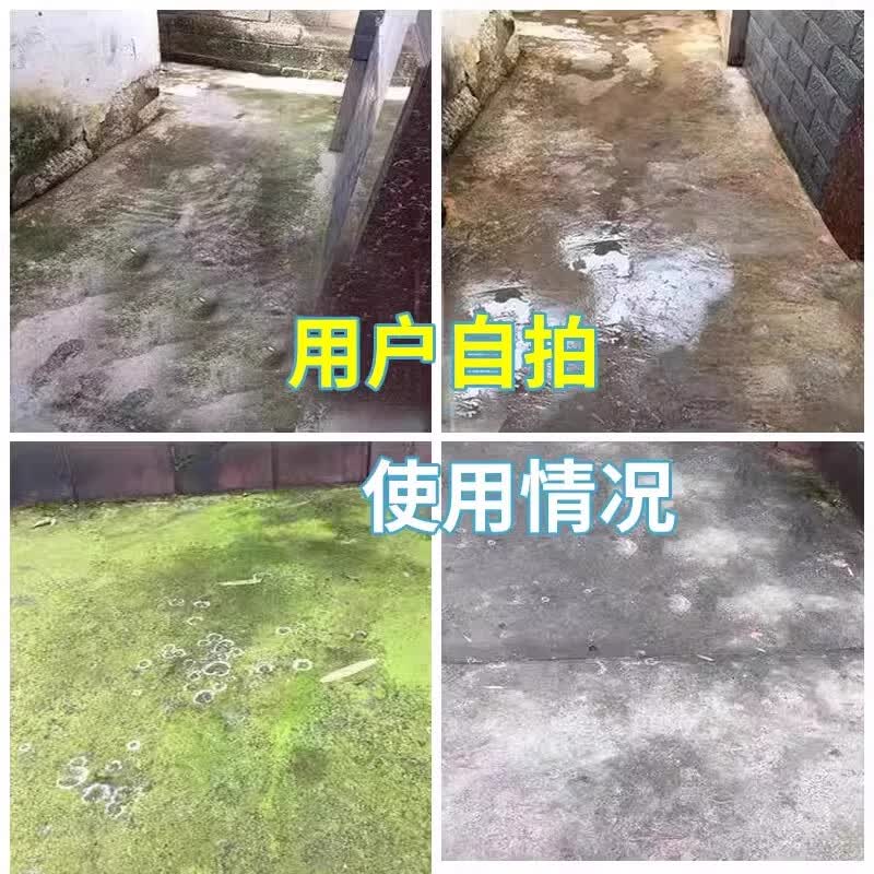 青苔清除剂青苔清除剂水泥地强力清除蓝绿藻地面墙面老院子除青苔 三斤【可以用300平】