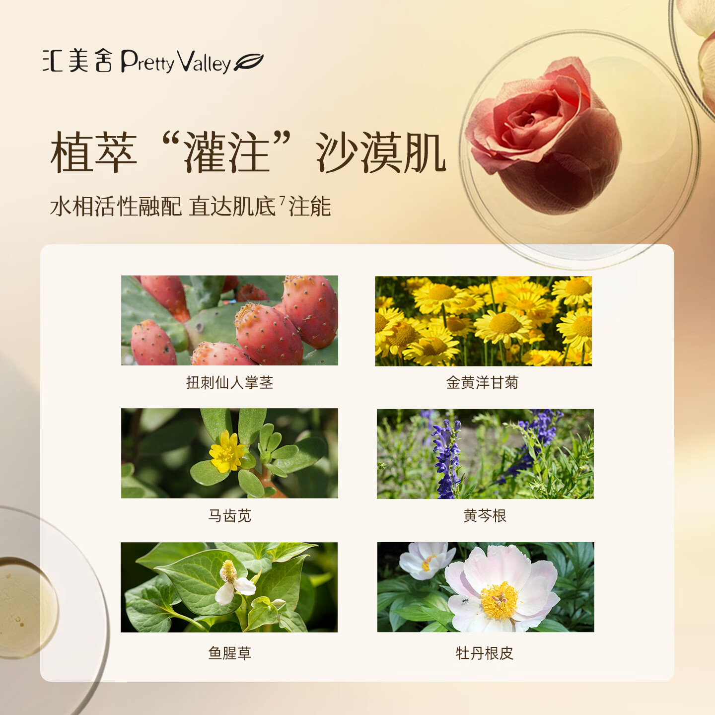 汇美舍玫瑰檀香弹力紧致美容液 保湿抗皱紧致肌肤抗初老精华水 160ml