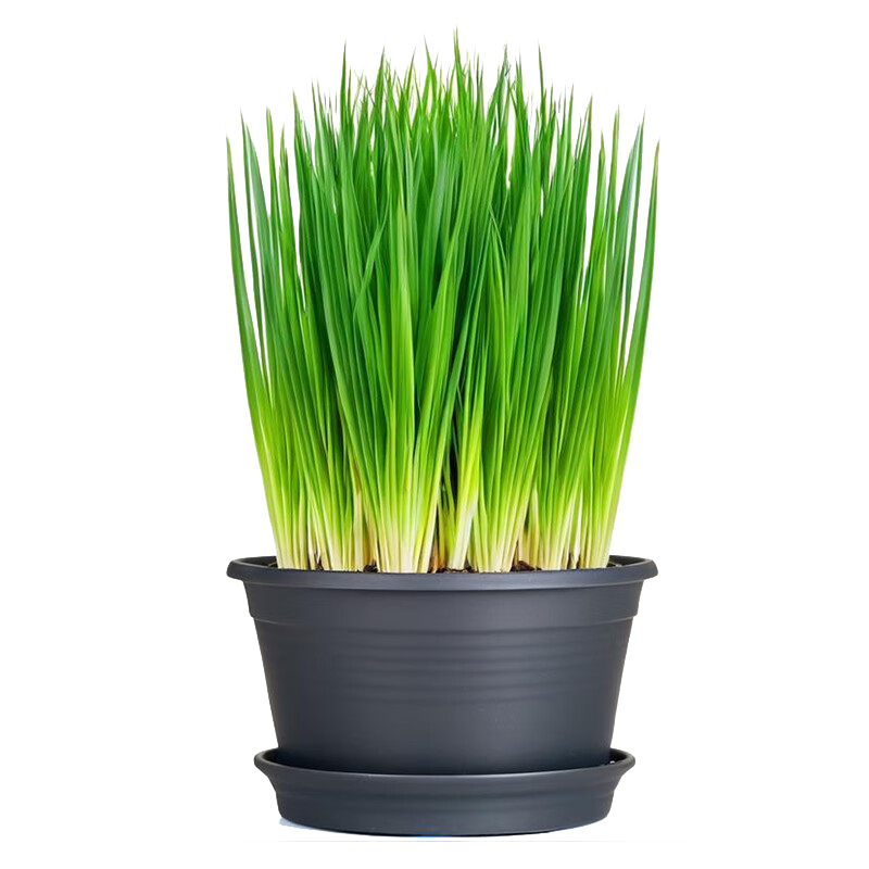 �ļ�С��������ٹ�С�����������������Ʒ��С�S�Ѽ��� �ٹ�С��������1050�� 7.62Ԫ