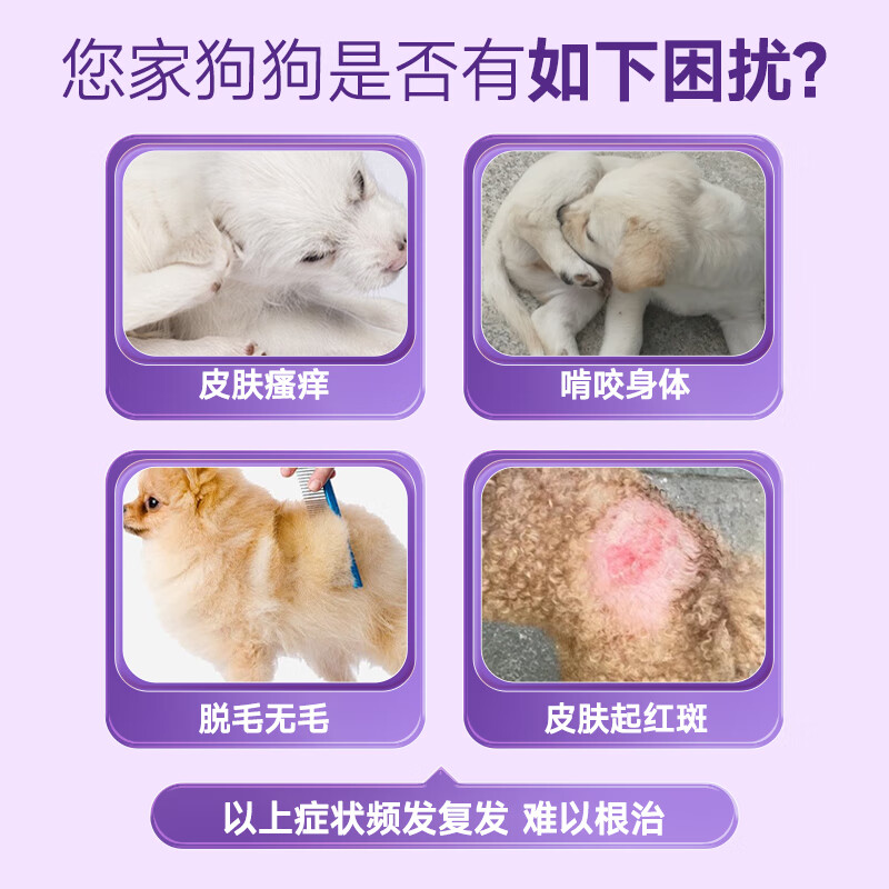 鼎伴犬用清敏冻干颗粒-鼎半畅敏33盒装 1盒27g(30片)