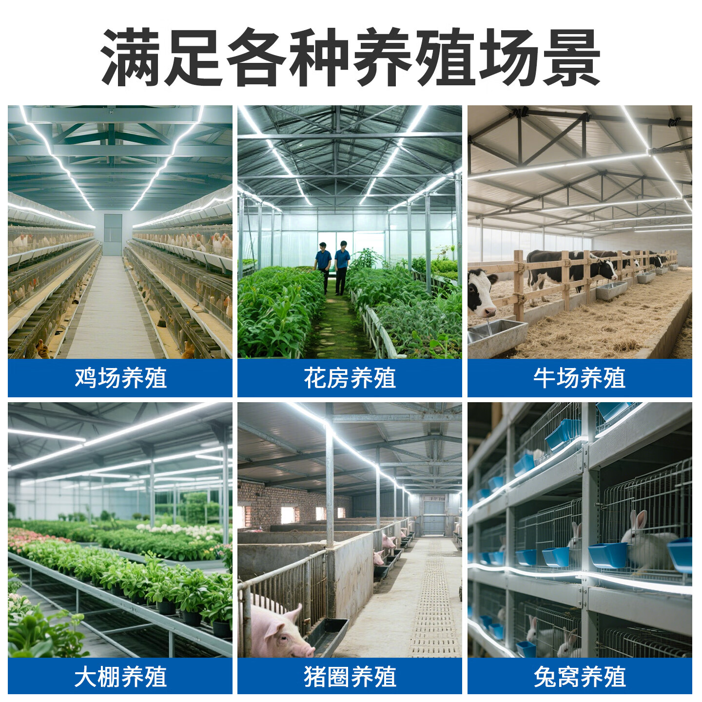 正泰养殖场专用led灯带户外防水220v超亮鸡舍工程工地隧道亮化照明灯 100米【高亮60珠】中性光 【养殖专用】送插头配件