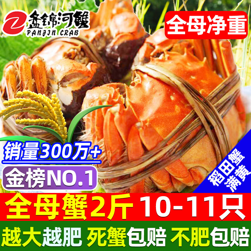 【活蟹】网兜蟹辽宁盘锦河蟹稻田河蟹礼盒螃蟹鲜活大闸蟹无绳净重 全母蟹丨1.8-2.0两【2斤】10-11只