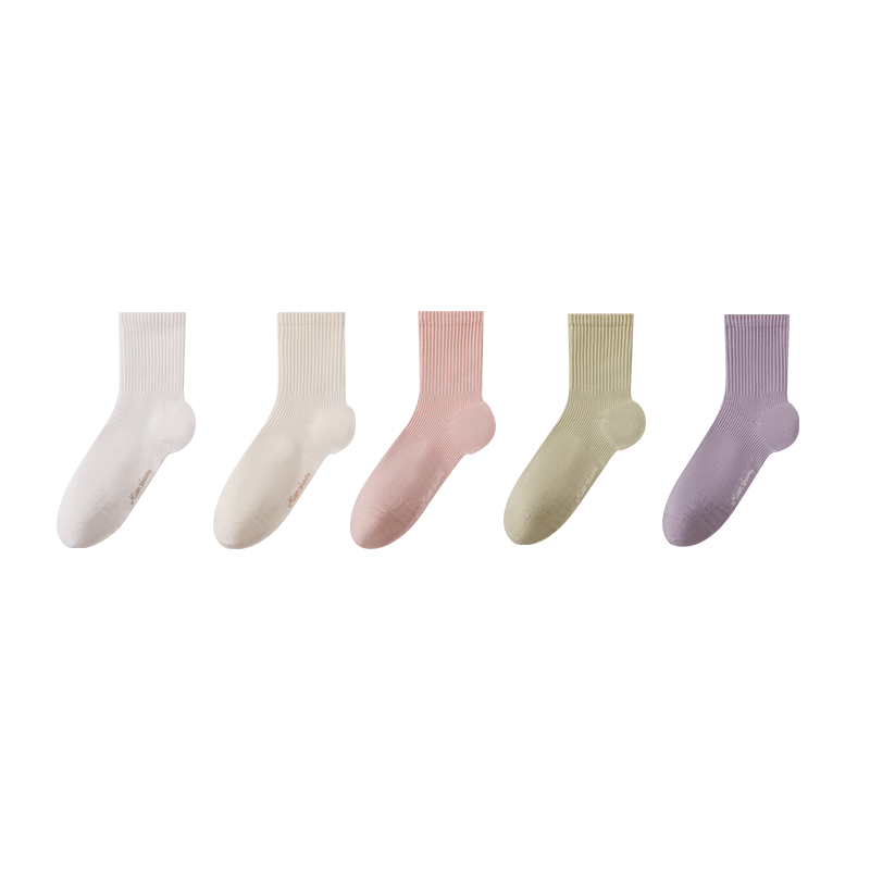 ���ڲ���������������Ů100%����ɽ�軨����ﶬ��10A����25���¿���Ͳ��5˫��� 112.96Ԫ��4��(��28.24Ԫ/��)