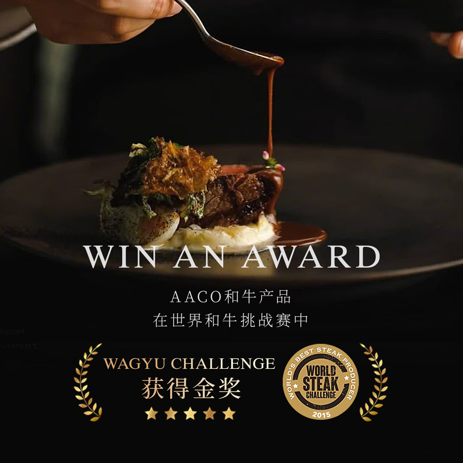 AACO澳洲进口和牛牛肉饼M9原切谷饲330天0添加低脂汉堡肉饼 澳洲和牛肉饼100g*10片