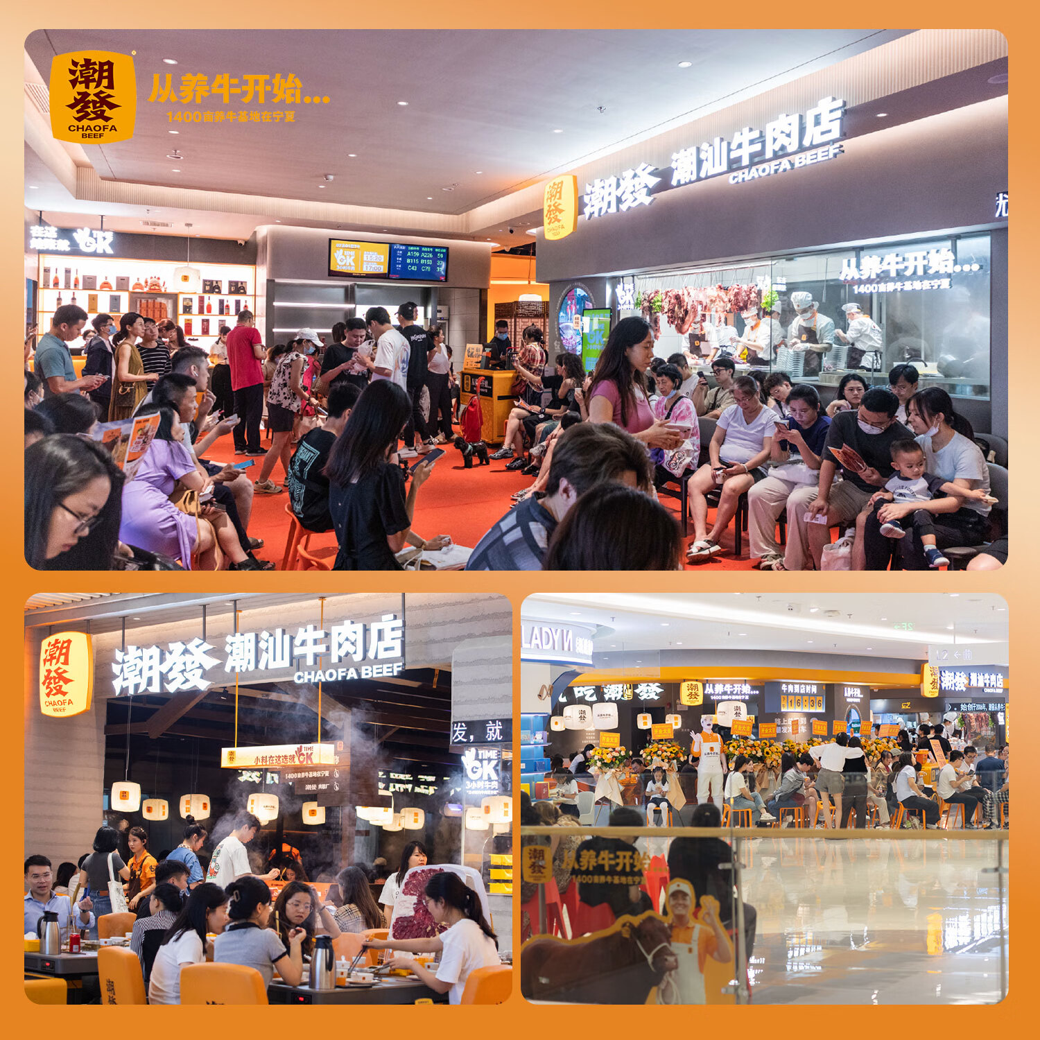 潮发爆汁牛肉丸潮汕牛筋丸火锅食材烧烤关东煮生鲜食材【门店同款】 牛肉丸250g*2+牛筋丸250g*2（共2斤） 潮汕纯牛肉丸【不添加其他肉】