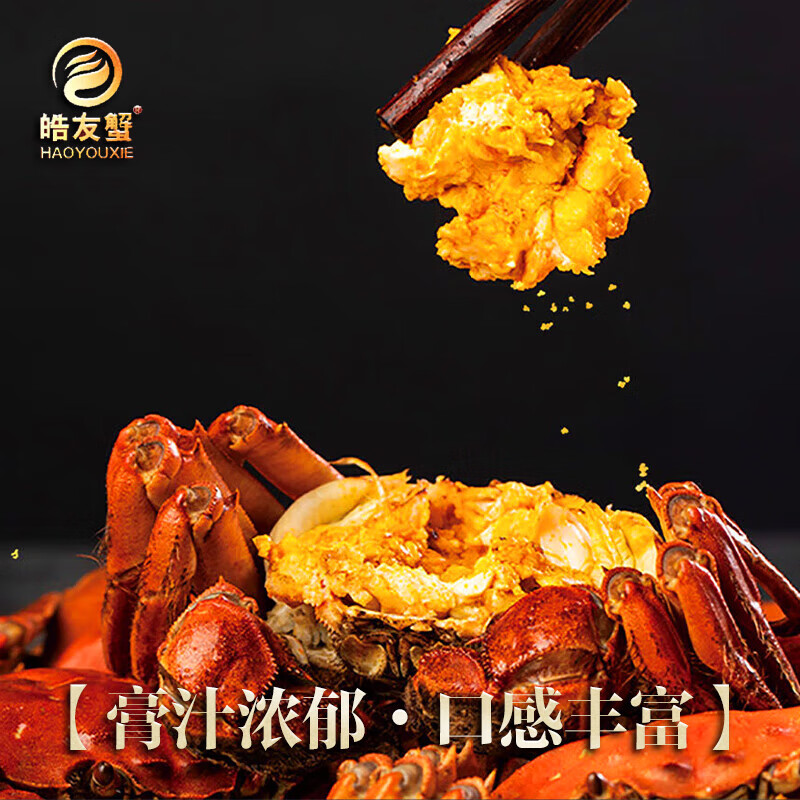 【活蟹】皓友兴大闸蟹 全母现货鲜活螃蟹生鲜海鲜中秋礼盒装 公4.0两母3.0两5对10只
