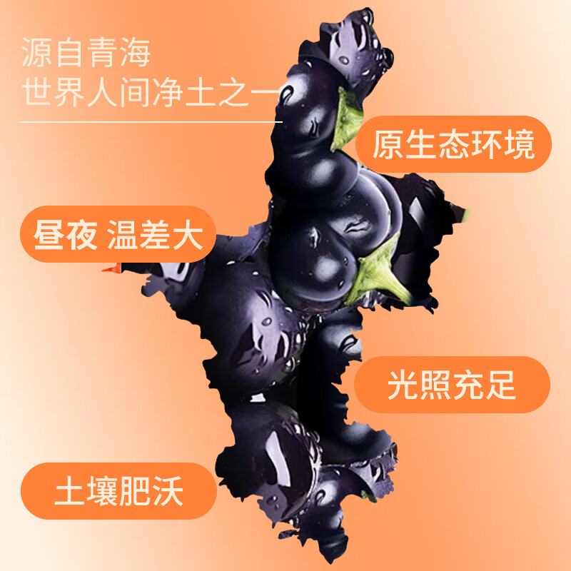 康馨来红黑枸杞原浆组合宁夏产地鲜果鲜榨不注水枸杞原汁原浆送家人长辈 康馨来黑枸杞原浆1200ml【40袋黑枸杞】