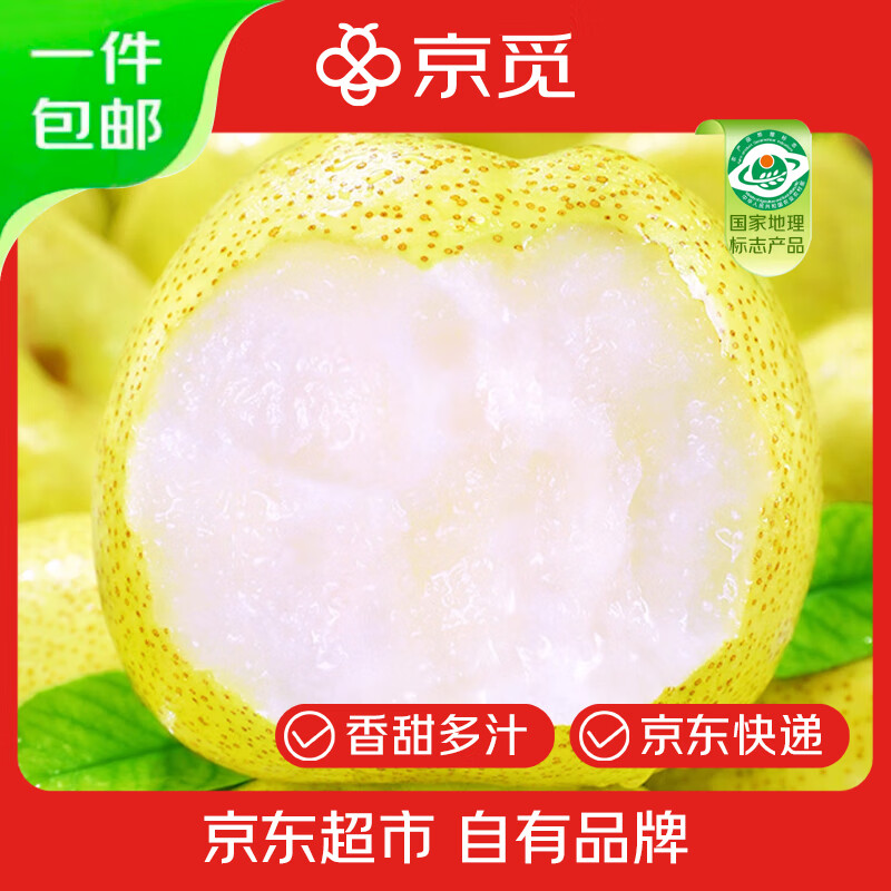 京觅砀山酥梨 净重3斤 4-6个 单果250g+ 新鲜水果梨子 源头直发包邮