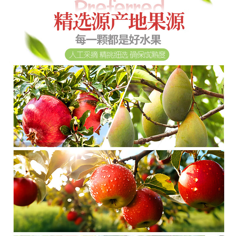 益正元100%NFC鲜榨混合果汁饮料无添加0添加杨梅nfc石榴汁桃橙苹果葡萄 白桃300ml*15瓶