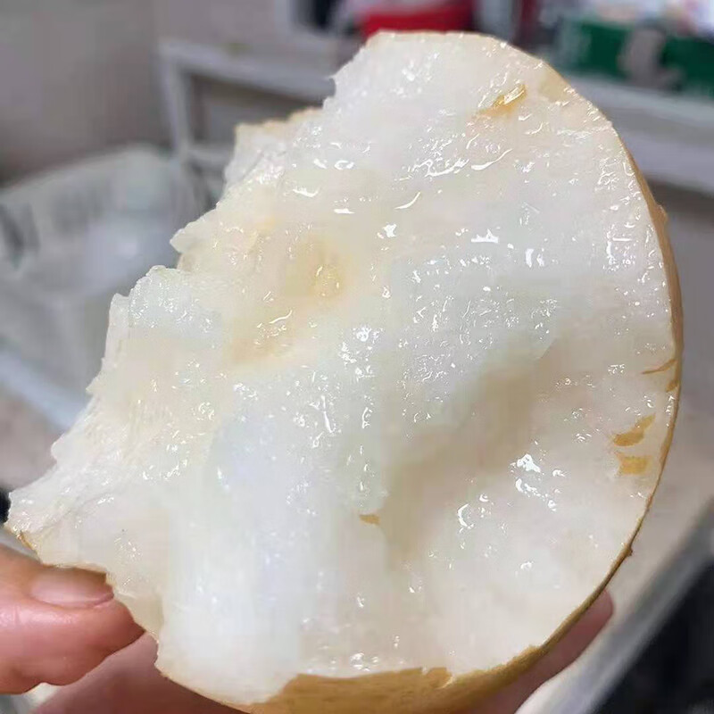 田园东方正宗山东秋月梨 新鲜应季水果 带箱 5斤中果(净重4.5斤)7-9个