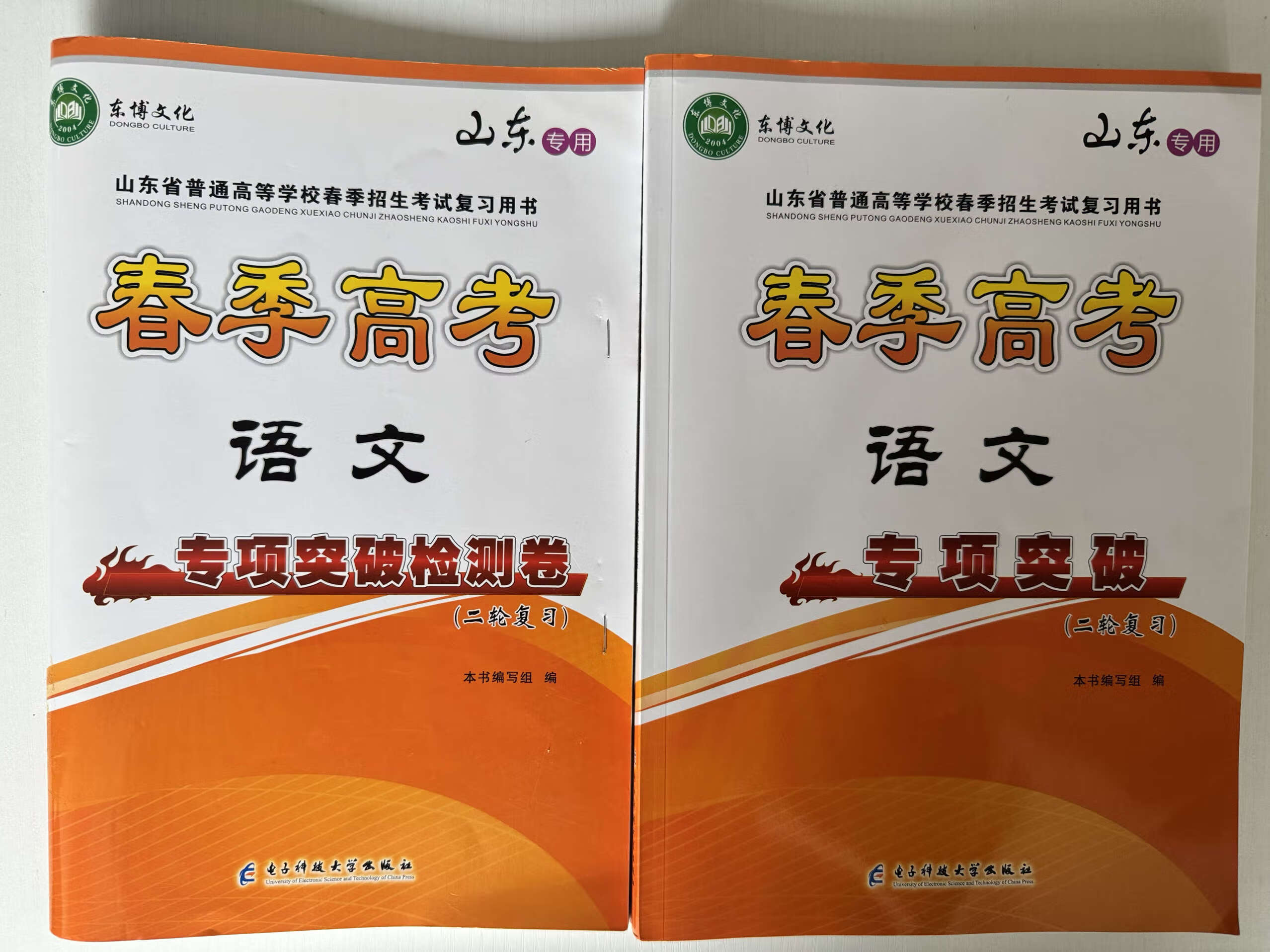 包含高三二轮复习学习方法（专题突破）的词条