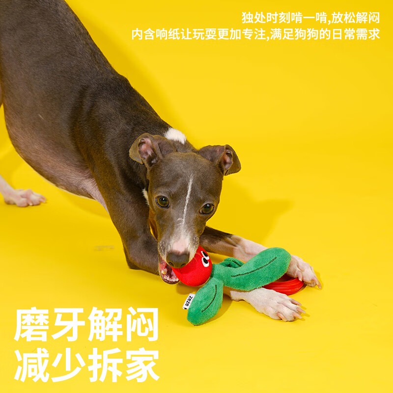 ZEZE狗狗绳结啃咬胶玩具磨牙耐咬发声解闷玩具小型犬泰迪宠物用品