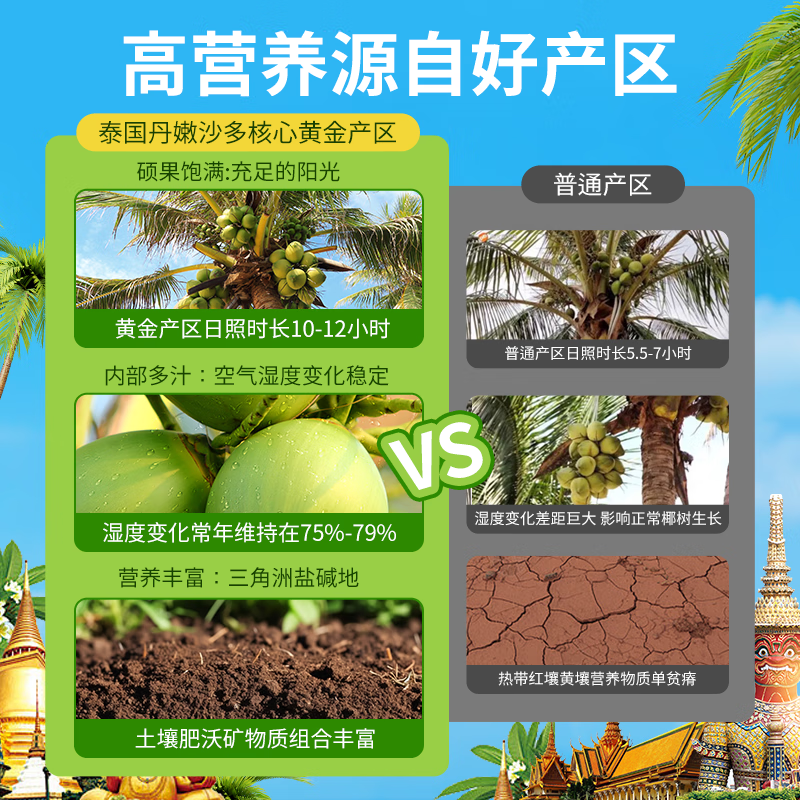 RA.BURI泰国100%天然椰子水泰国电解质果汁饮料断饱腹感0添加年货礼盒 350ml*6支