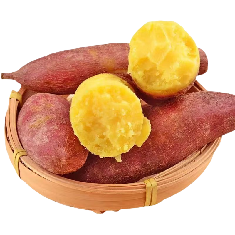 山东正宗板栗红薯新鲜现挖地瓜农家自种济薯26 正宗板栗红薯3斤 净重 板栗薯