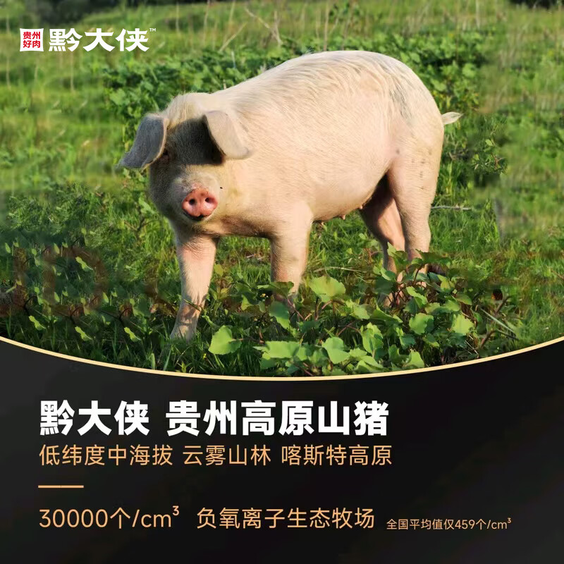 黔大侠贵州高原无抗山猪精品扇子骨1斤炖煮红焖2斤猪扇子骨4斤带肉率高 扇子骨2kg(500g*4袋)