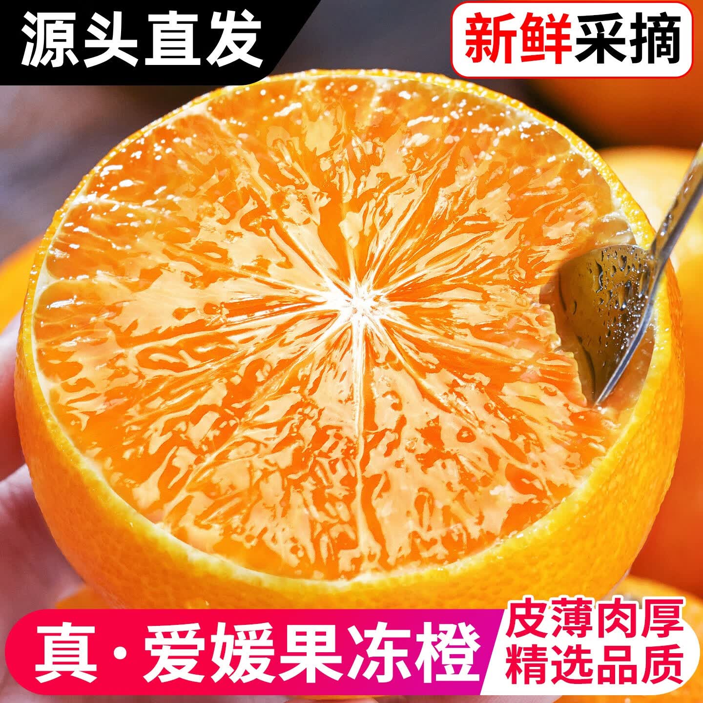 久雅优鲜四川爱媛38号果冻橙当季柑橘冰糖橙子桔子新鲜水果礼盒中秋送礼 4.5-5斤（70-75mm）