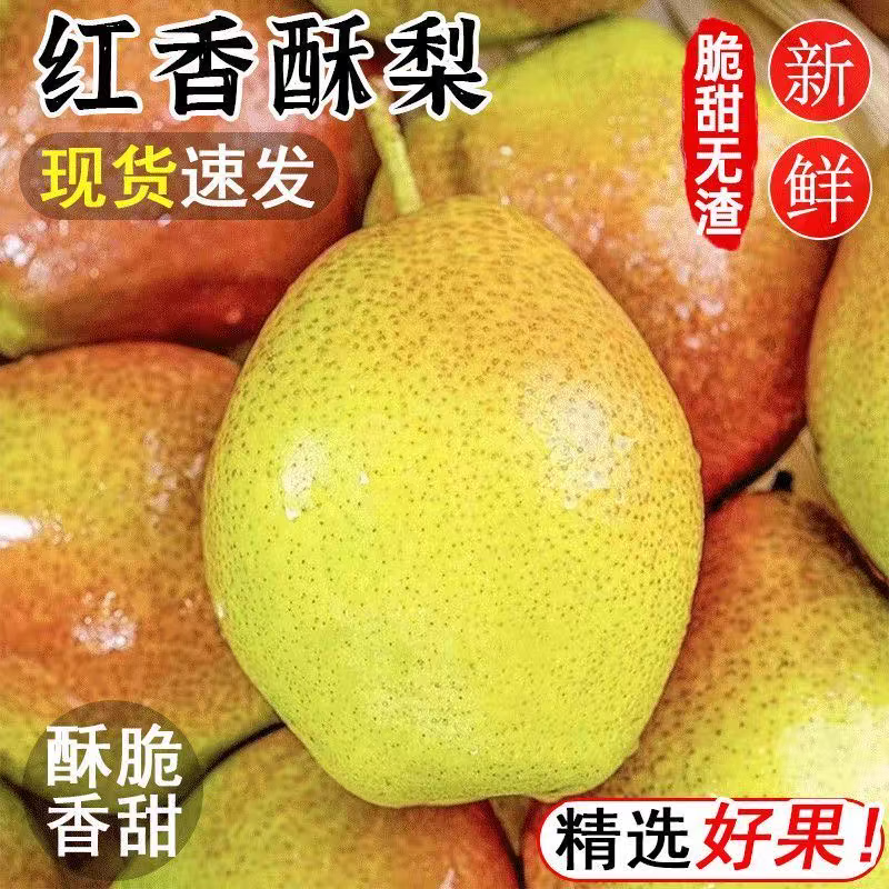 康田汇 陕西红香酥梨 当季新鲜梨子水果现货新鲜时令应季水果整箱 5斤精选装【香甜多汁】净重4.5斤 源头直发