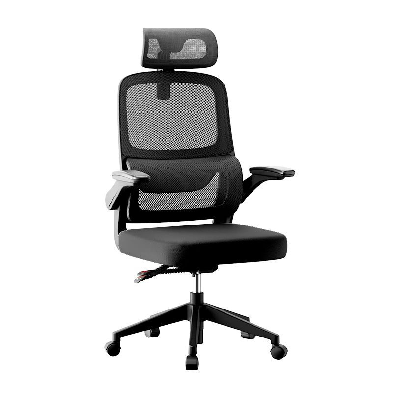 �ڰ׵� P1���� ���幤ѧ�� ���԰칫�羺ѧϰ�� ���� 459Ԫ