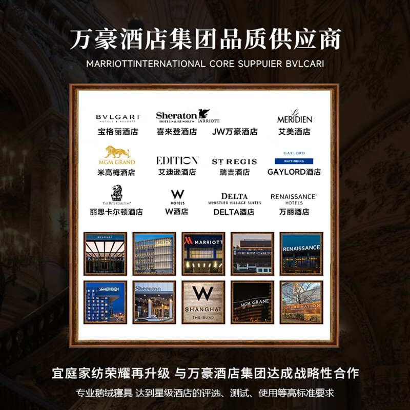 宜庭(ESTEEM)莫里斯系列可水洗鹅绒被冬被羽绒被子母被被子被芯【专柜同款】 莫里斯典藏家 220×240cm【适合1.8m床】