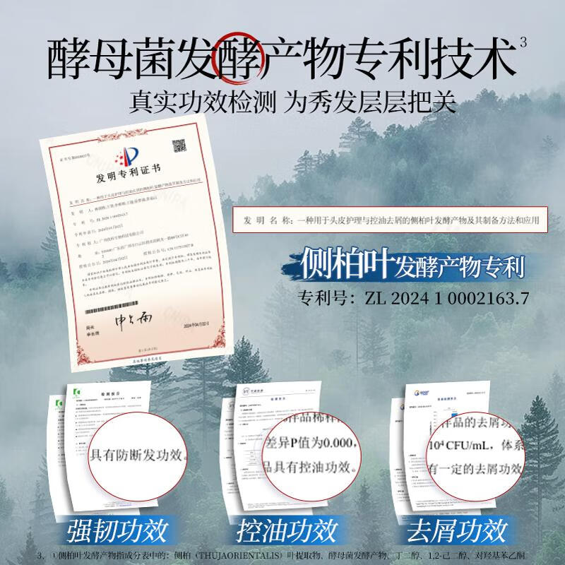 霸王侧柏叶控油洗发水强韧丰盈去屑蓬松洗头膏男女士草本香氛 【控油去屑蓬松】洗发水500ml*2