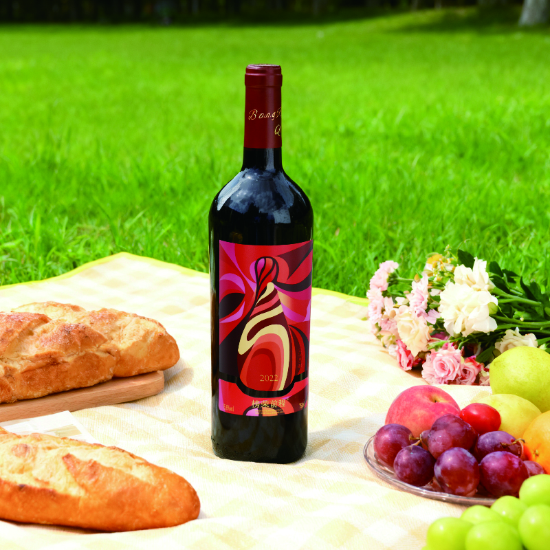 榜荣前程宁夏国产红酒 贺兰山东麓产区 双有机酒庄橡木桶赤霞珠干红葡萄酒 榜荣前程-蛇龙珠【双支开怀】
