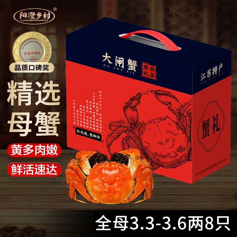 【活蟹】阳澄乡村大闸蟹全母3.3-3.6两8只 去绳足重鲜活螃蟹现货生鲜实物水产海鲜礼盒