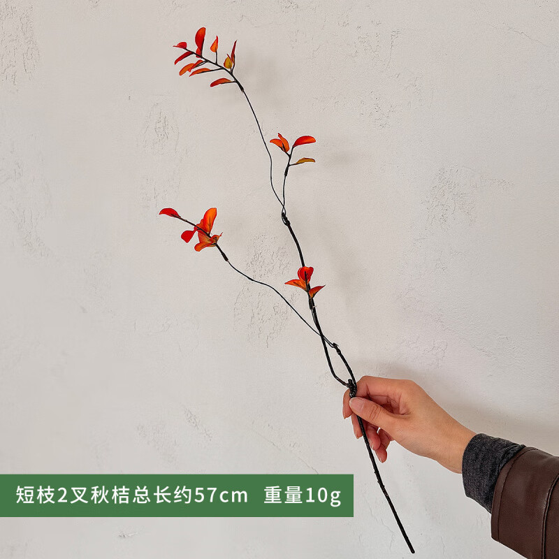 ������ʽ������ɫ��֦�������ͼҾӾƵ�װ�β廨����������ֲ�ڼ����� ��֦2�����