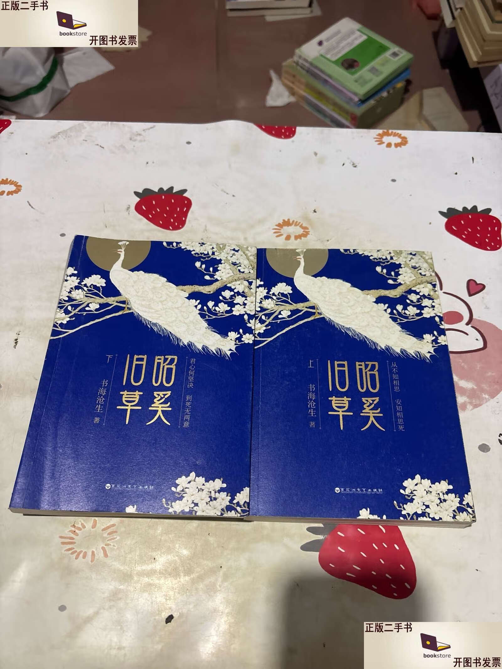 昭奚旧草上下二册全