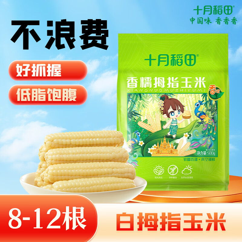 十月稻田 云南白拇指玉米 1斤(8~12根) 25年新玉米 儿童低脂早餐 西双版纳