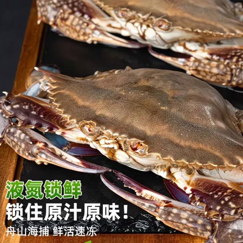 梭子蟹特大活冻野生新鲜大螃蟹大蟹生鲜水产飞蟹大肉蟹 船头手挑巨无霸 【9两以上】5斤