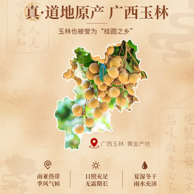 朕皇北京同仁堂龙眼肉干无核免剥广西特级桂圆肉干肉厚泡水补气补血 【1盒装】体验装 250g/盒