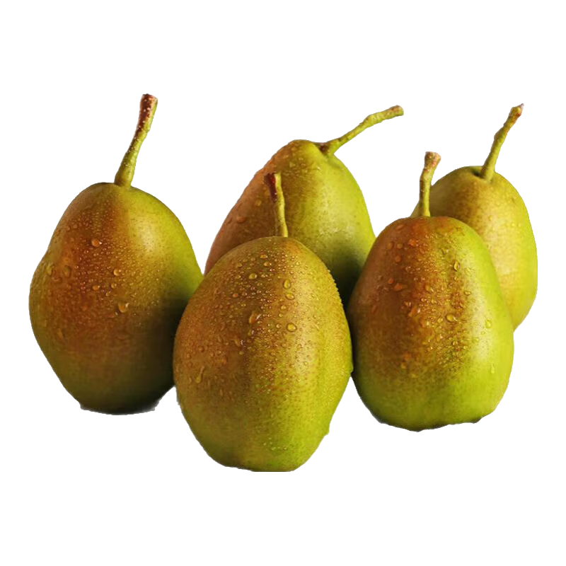 ϲӺӱִ֭ˮ԰ֱд11ȫվ 2100g ) 1.5Ԫ