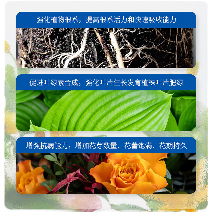 ���ڲ����������1�Ż����2��10�Ż���ͨ����ˮ�ܷʻ�����ֲ���Դ߿������� �����2��+��������+���+С�� 20.4Ԫ��3��(��6.8Ԫ/��)