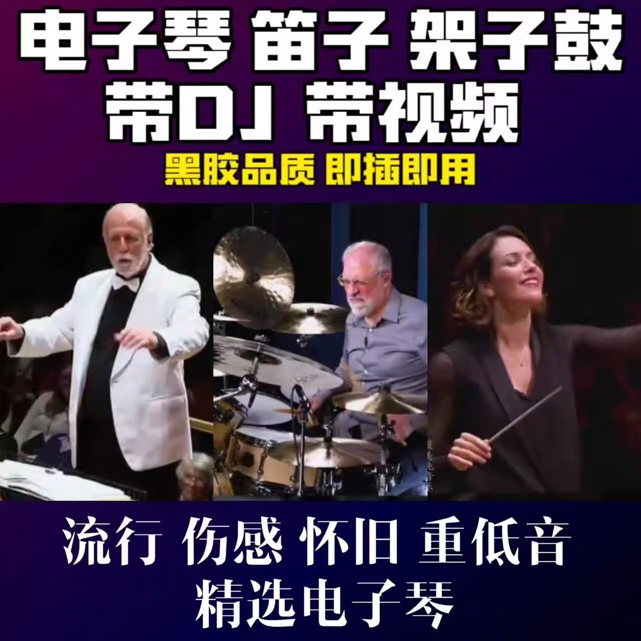 程驼（CHENGTUO）程驼车载电子琴音乐优盘清羽纯音乐电子琴架子鼓重低音dj无损 1MB 质u盘精选3200首视频270部