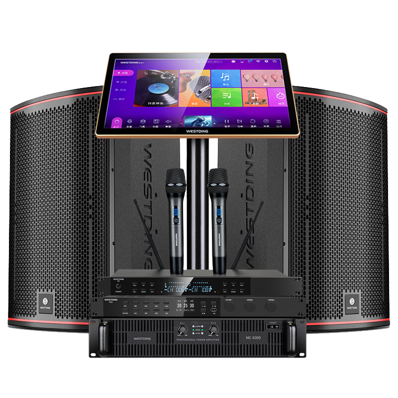 威斯汀音響家庭ktv唱歌全套設(shè)備 卡拉ok點(diǎn)歌機(jī)語(yǔ)音點(diǎn)唱 客廳包房專業(yè)大功率12吋專業(yè)箱紅海+F8S