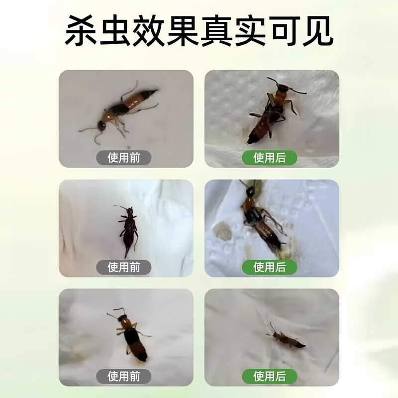 洛圣隐翅虫杀虫剂家用室内床上专用杀隐形虫药影翅克星驱灭去神器喷雾 2瓶装【虫卵双杀 免洗免晒】 高效灭虫
