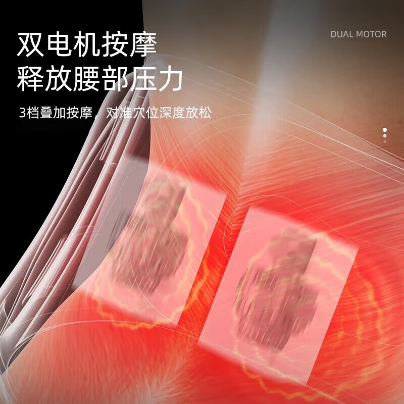 志高（CHIGO）腰部按摩仪器加热护腰带女保暖热敷暖宫大姨妈神器腰肌劳损腰间盘护腰带突出生日礼物实用送父母亲 90%顾客选择【充电顶配加厚礼盒款】艾草振动热敷 高档节日礼品送爸爸妈妈男女友老公老婆
