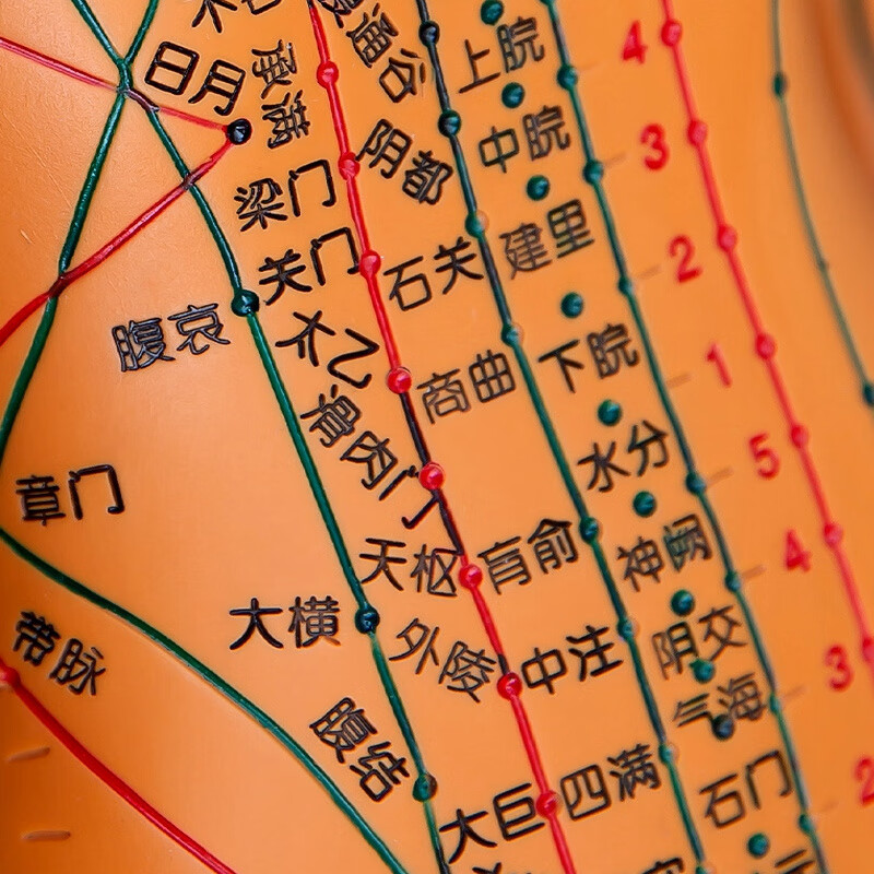 60cm针灸人体模型彷真穴位经络小铜人形十二按摩身标准可扎 功能创伤护理人模型