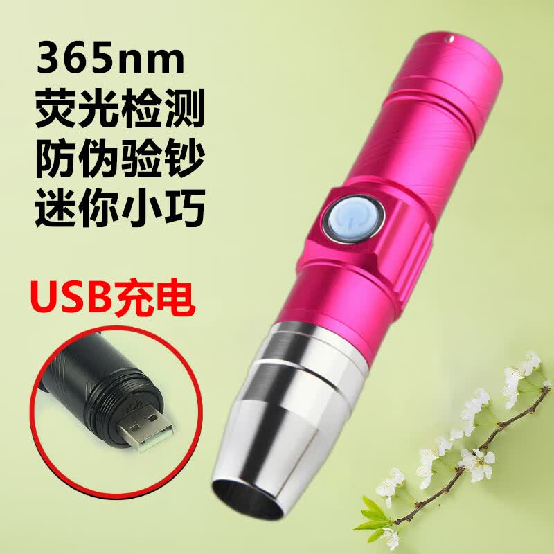 融誉手电筒荧光剂检测笔365nm紫光验钞灯USB充电防伪面膜家用便携检测 USB充电款：防伪荧光检测 外观红